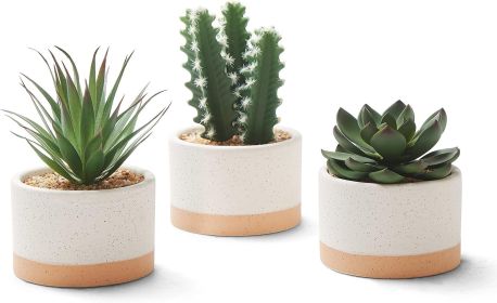 Set of 3 Faux Artificial Succulent Cactus Plants in Ceramic Pots Set of 3 Faux Artificial Succulent Cactus Plants in Ceramic Pots